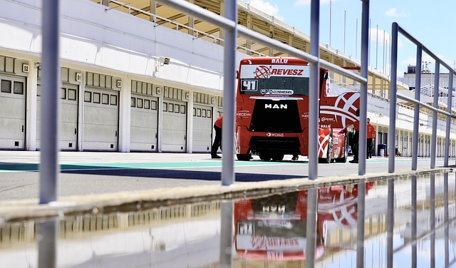 混团世界杯：日本8-3胜德国！张本智和遭败绩，张本美和等人赢球