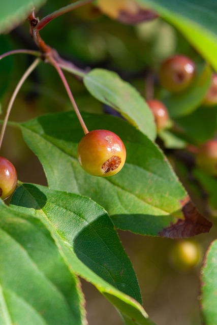 中国男篮新阵容首次亮相