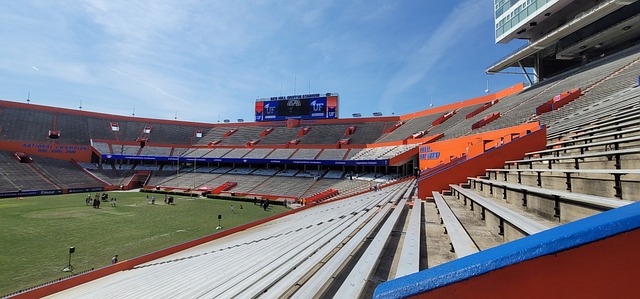 那份属于哈 那份属于哈