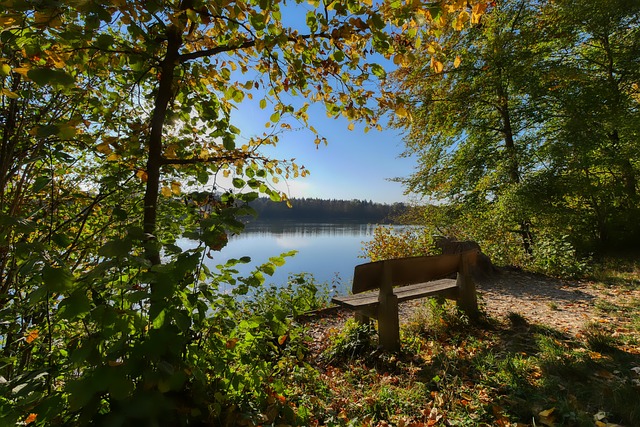 失误来看 失误来看