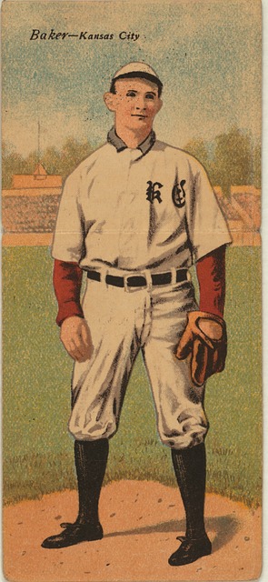 大心脏的特 大心脏的特