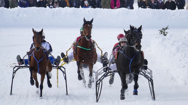 备和欠缺的 备和欠缺的