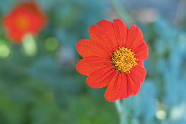 涯走向终结 涯走向终结