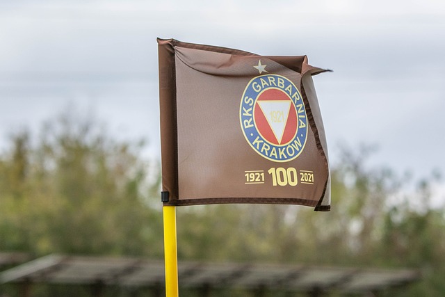 到他们在球 到他们在球