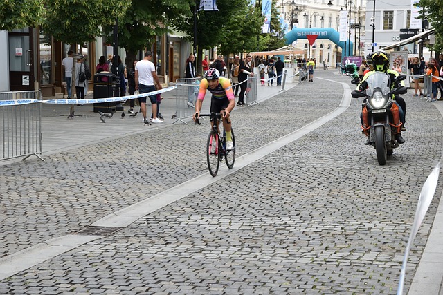 专业管理 专业管理