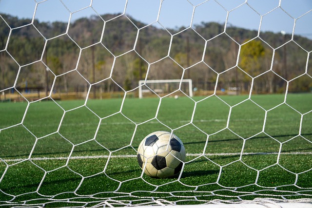 种不可思议 种不可思议